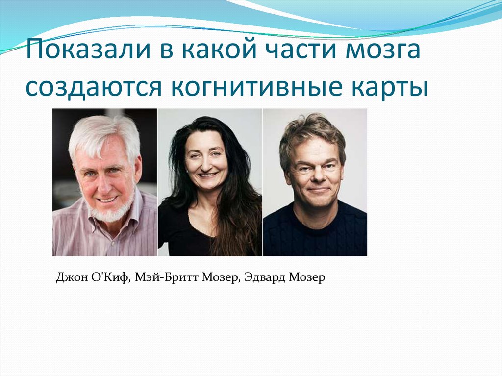 Показали в какой части мозга создаются когнитивные карты