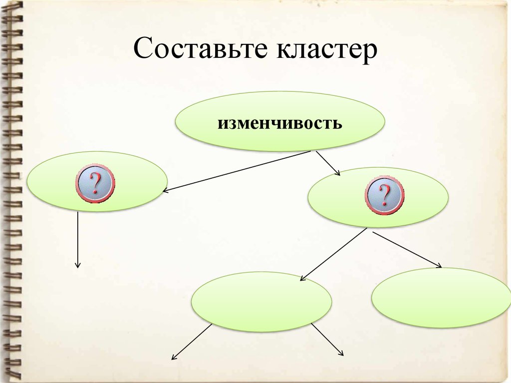 Блок схема изменчивость