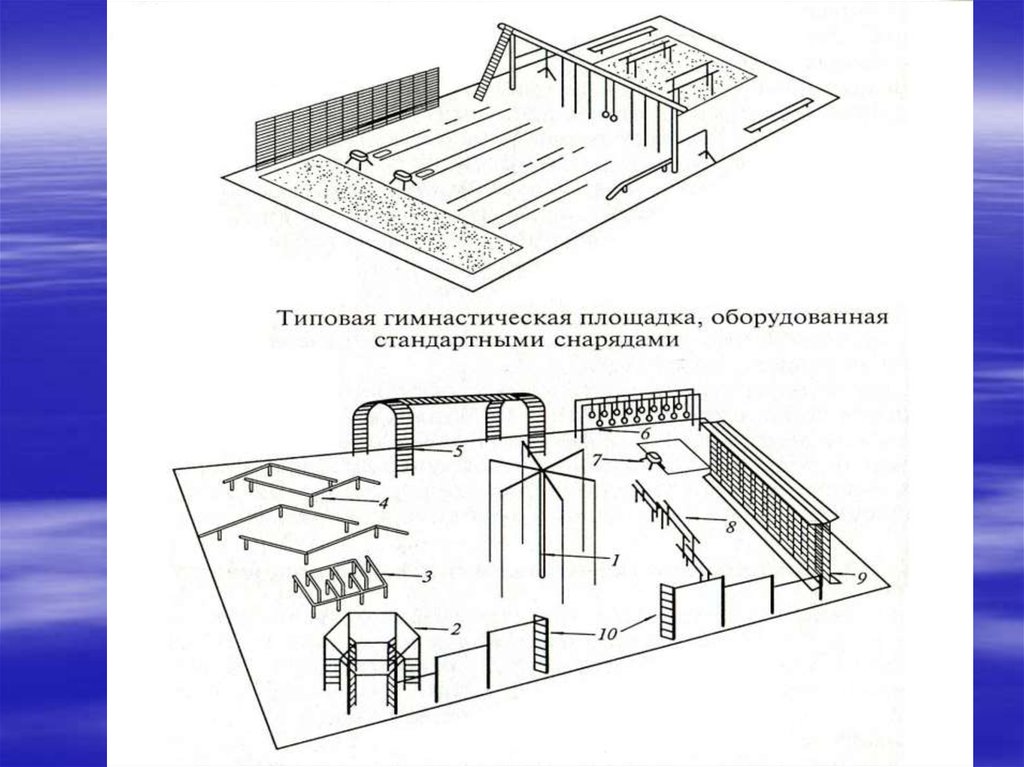 Схема гимнастического зала