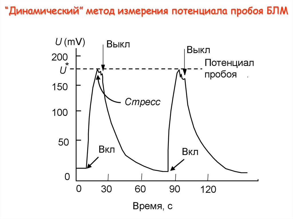 Пробой измерение