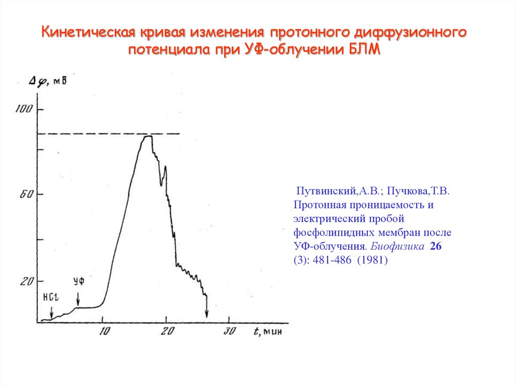 Кривая изменений. Электрический пробой мембраны. Снижение электрической прочности мембран. Патогенетическая значимость электрического пробоя мембран.