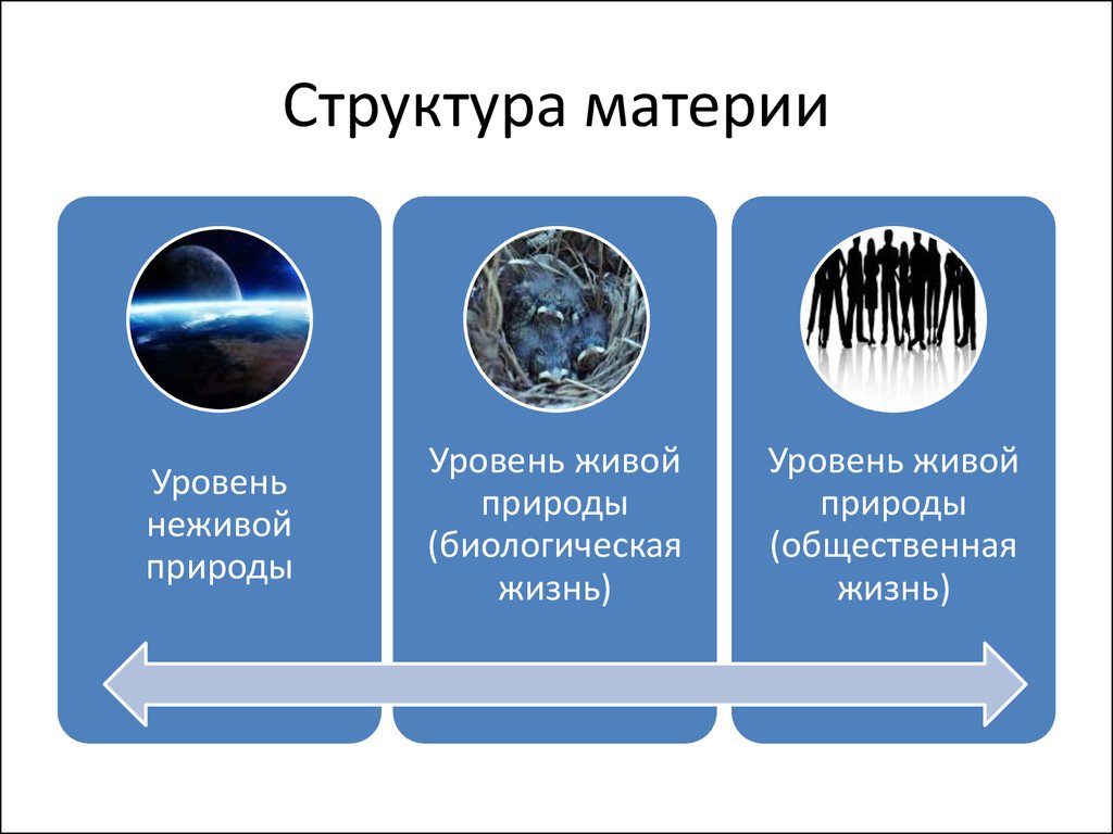 Материя относиться. Строение материи философия. Структура материи в философии. Структурная организация материи в философии. Иерархия строения материи.