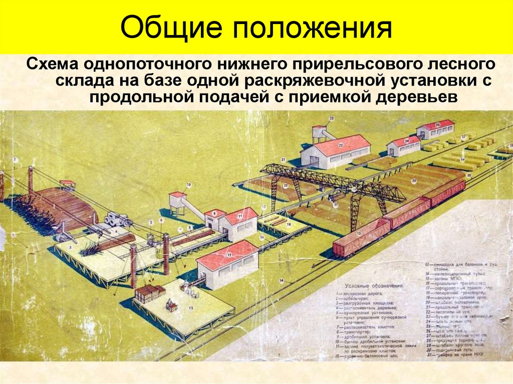 Общие положения