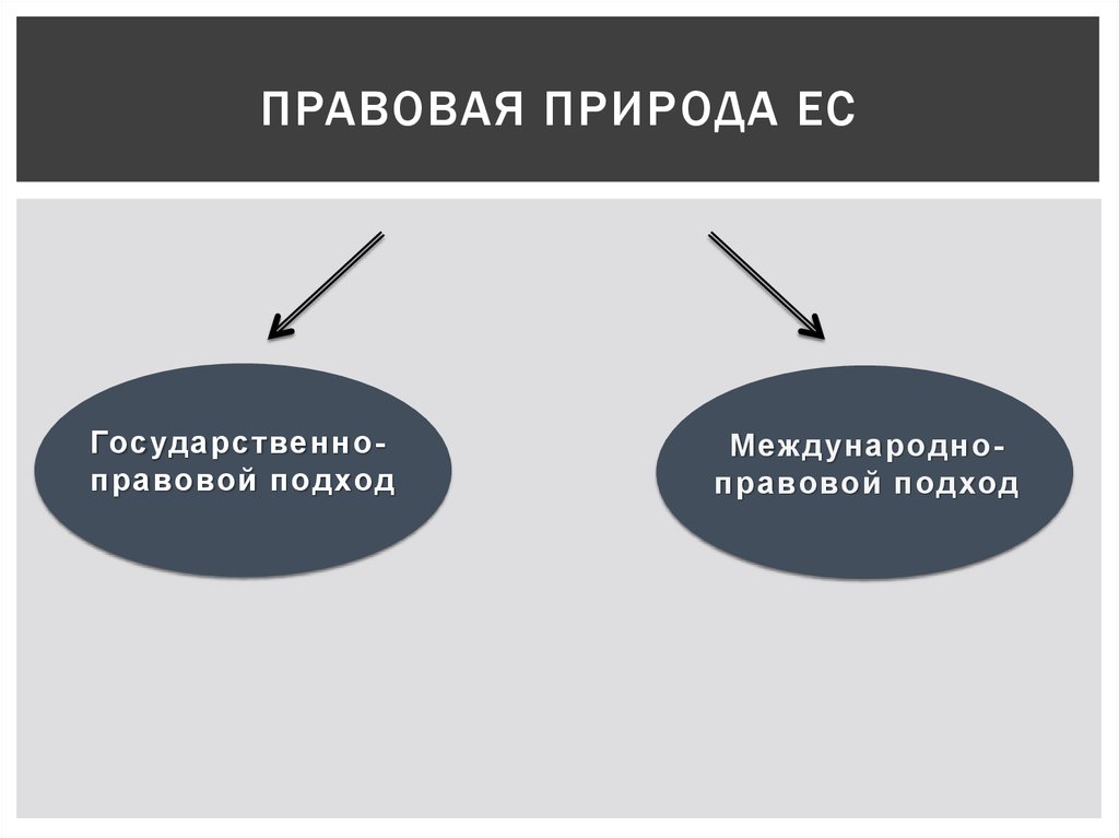 Проблемы правовой природы. Правовая природа это. Понятие юридическая природа. Правовая природа ЕС. Что значит правовая природа.