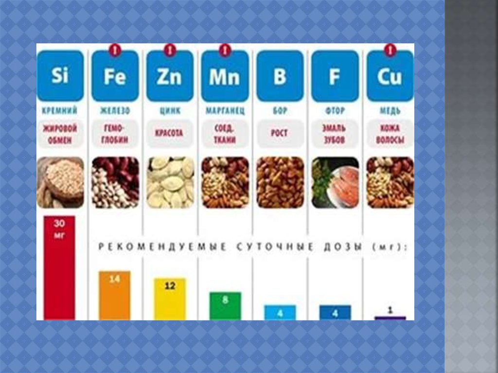 Макроэлементы человека. Микроэлементы в питании. Витамины микро и макроэлементы. Макроэлементы и микроэлементы. Микроэлементы в еде.