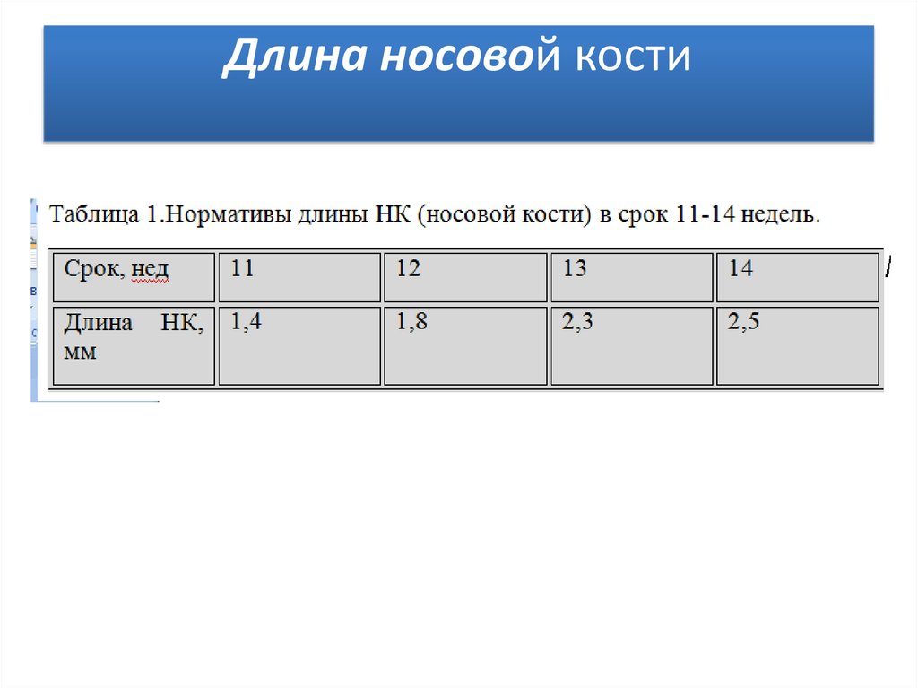 12 недель норма носовой кости