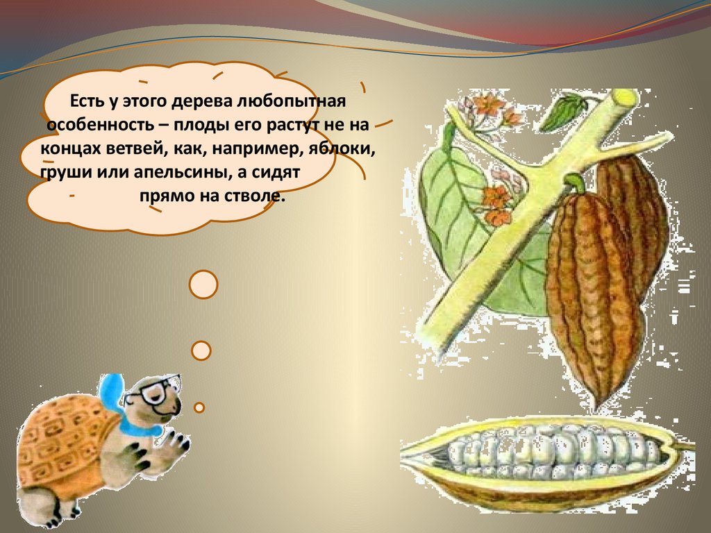 Откуда берутся шоколад изюм и мед презентация 1 класс школа россии презентация