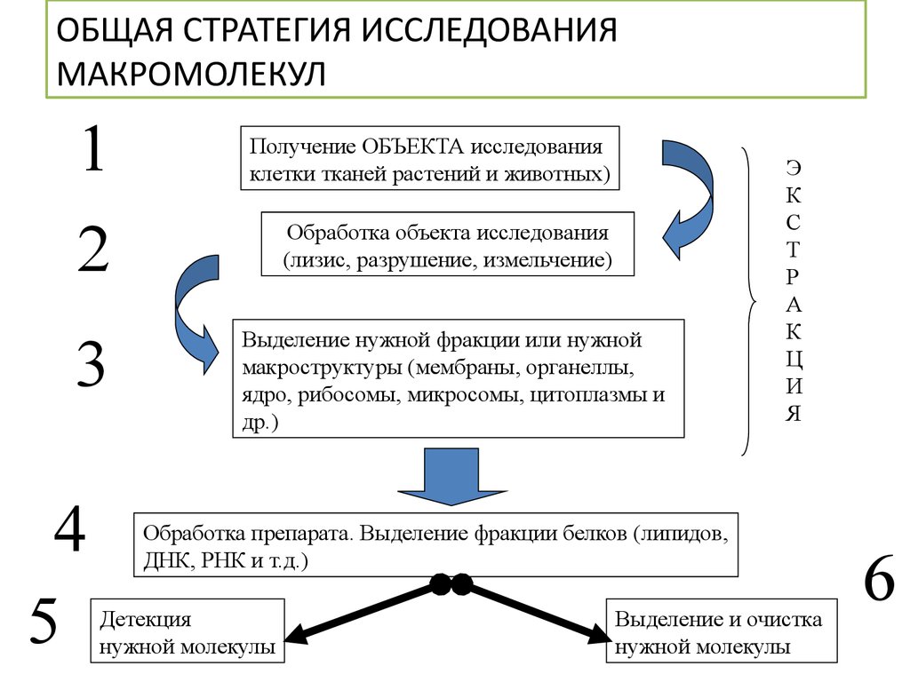 Стратегия изучение