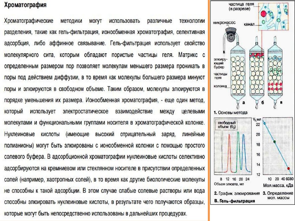 Ионообменная хроматография схема