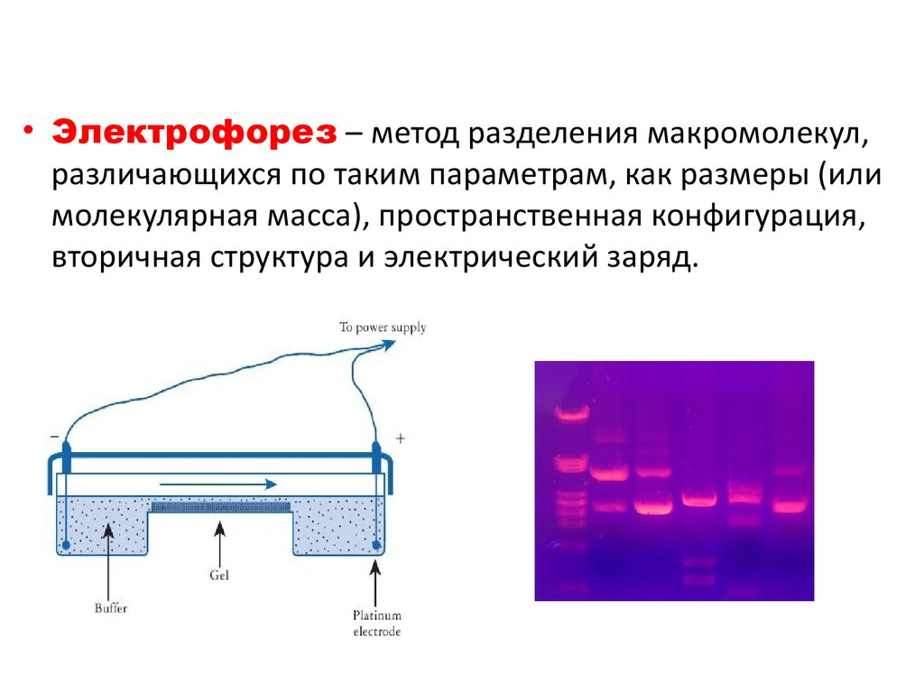 Электрофорез