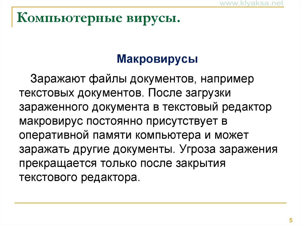 Что могут заразить компьютерные вирусы программы текстовые файлы веб страницы рисунки видео