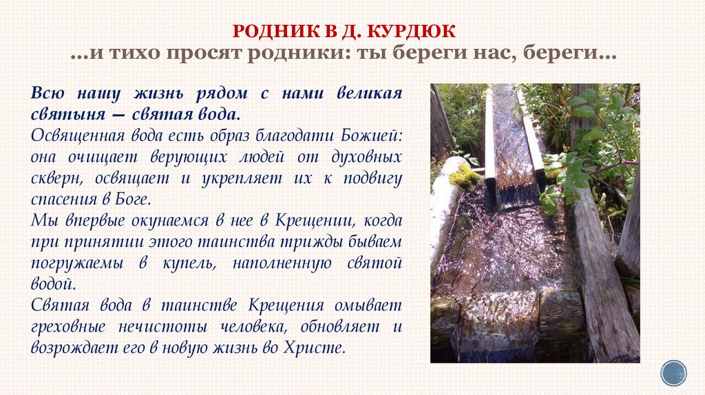 Проект родник источник жизни