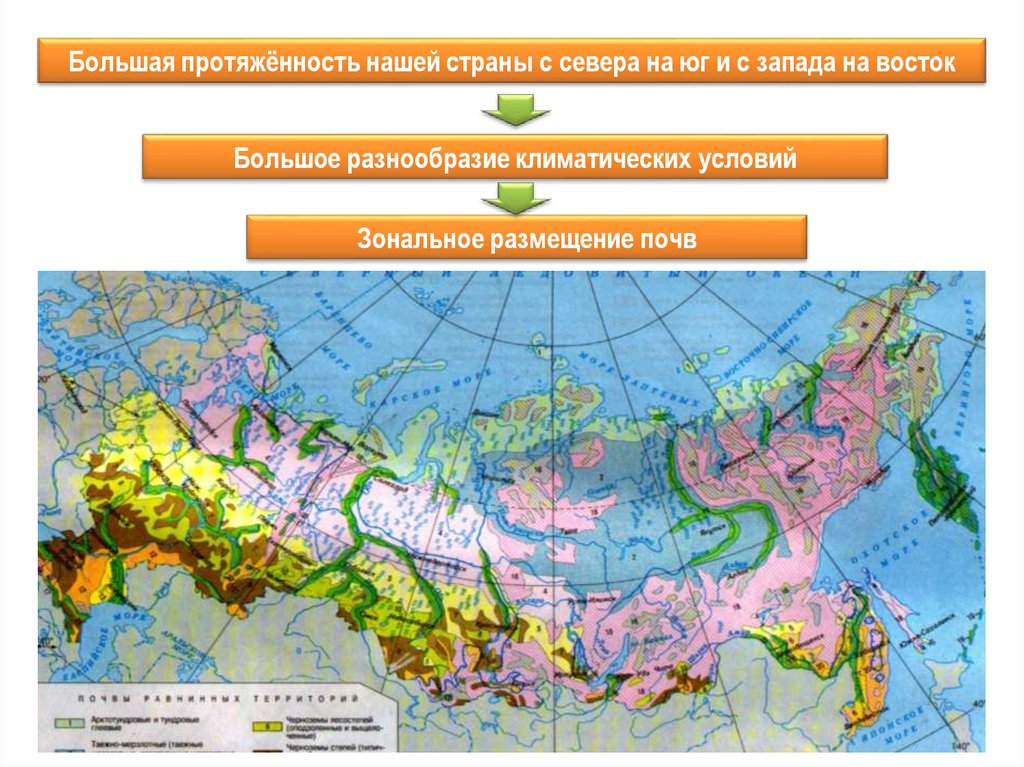 Перечислить почвы с севера на юг. Зональное размещение почв это. Почвы России с севера на Юг. Карта почвообразующих пород России. Плодородия почв севера на Юг.