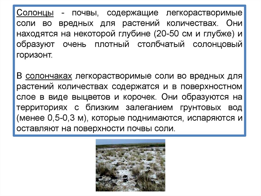 Соли в почве. Солонцы почвы. Солонцы почвы характеристика. Характеристика солонцовых почв. Солонец климатические условия.