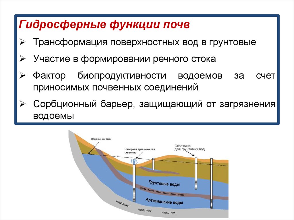 Сток фактор. Гидросферная функция почвы. Грунтовые воды. Поверхностные и подземные воды. Основные функции почвы.