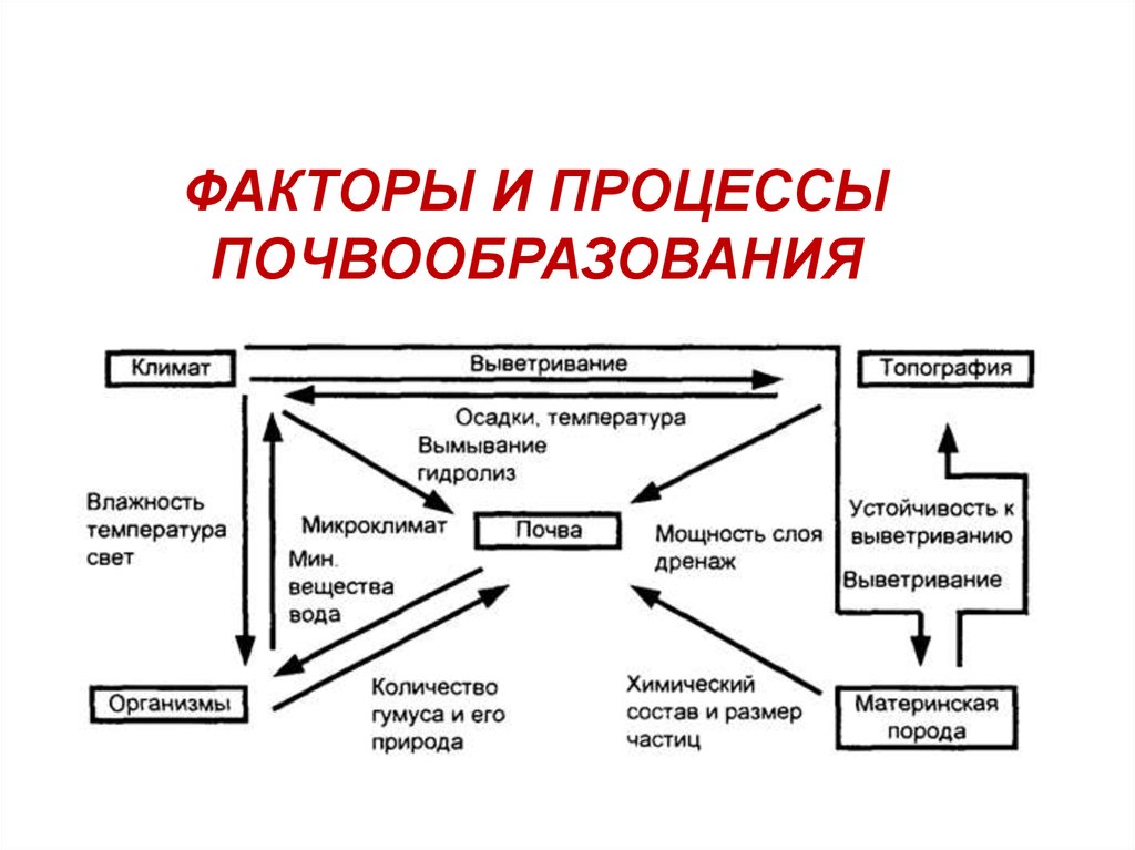 Составляющий фактор. 6. Общая схема почвообразовательного процесса. Почвообразовательный процесс и факторы почвообразования. Формирование почв факторы почвообразования. Факторы почвообразования схема.