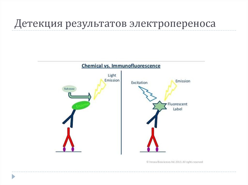 Детекция