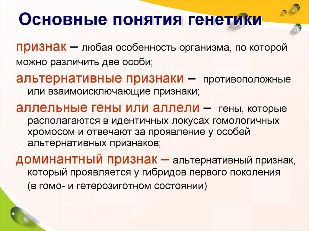 Основные понятия генетики презентация