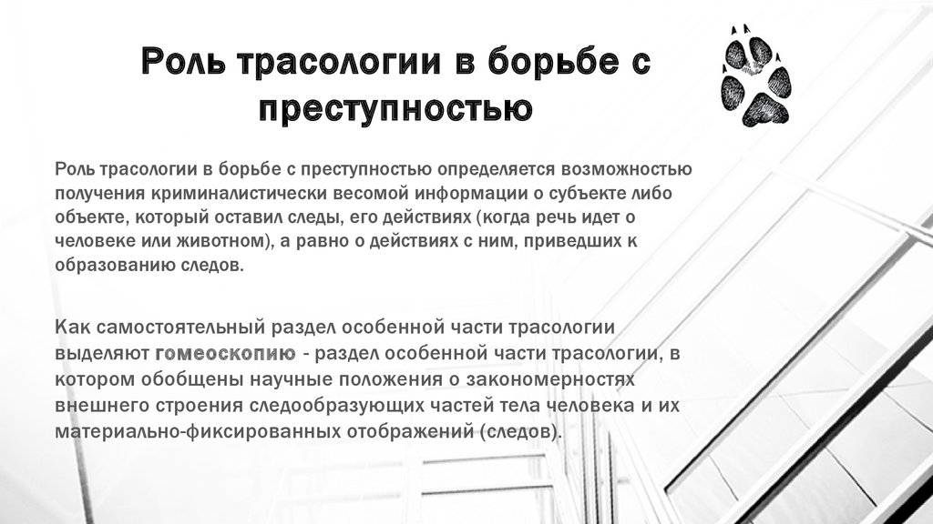 Трасологическая экспертиза по фотографиям