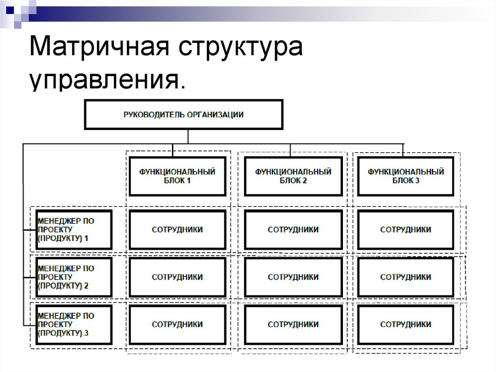 Являться структура. Матричная структура управления организацией. Матричная организационная структура управления схема. Матричная организационная структура управления предприятием. Матричный Тип организационной структуры управления.