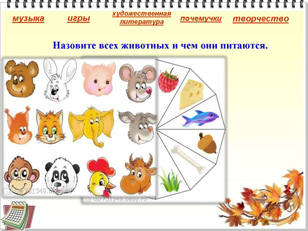 Назовите всех животных и чем они питаются.