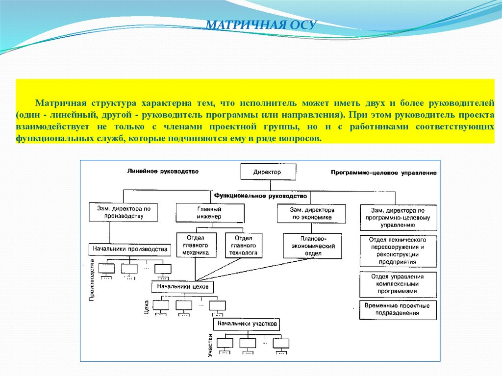 Специфическая структура. Матричная осу. Матричная структура осу. Матричная осу схема. Проектно матричная осу.