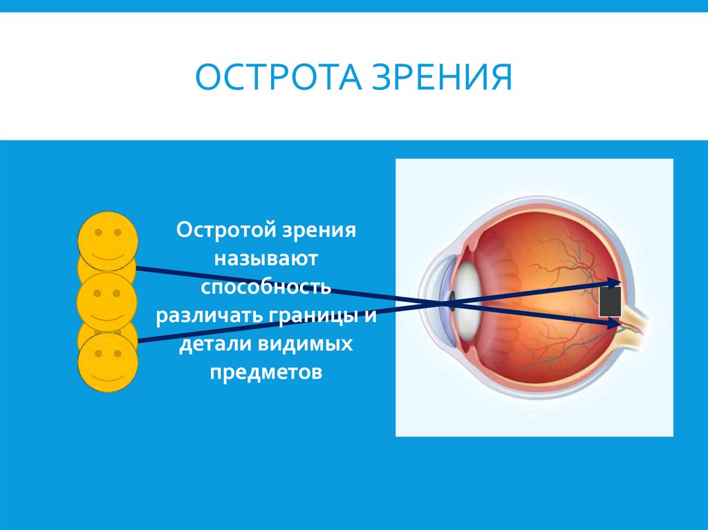 Максимальное зрение. Острота зрения. Острота зрения глаза. Острота зрения это способность. Центральная острота зрения.