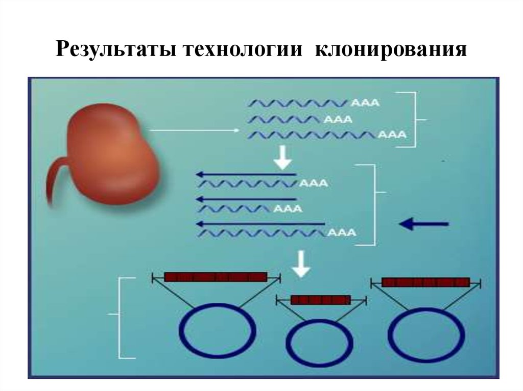 Технологии результата. Технология клонирования. Картинка техники клонирования. Знаки в технике клонирования. Движения техники клонирования.