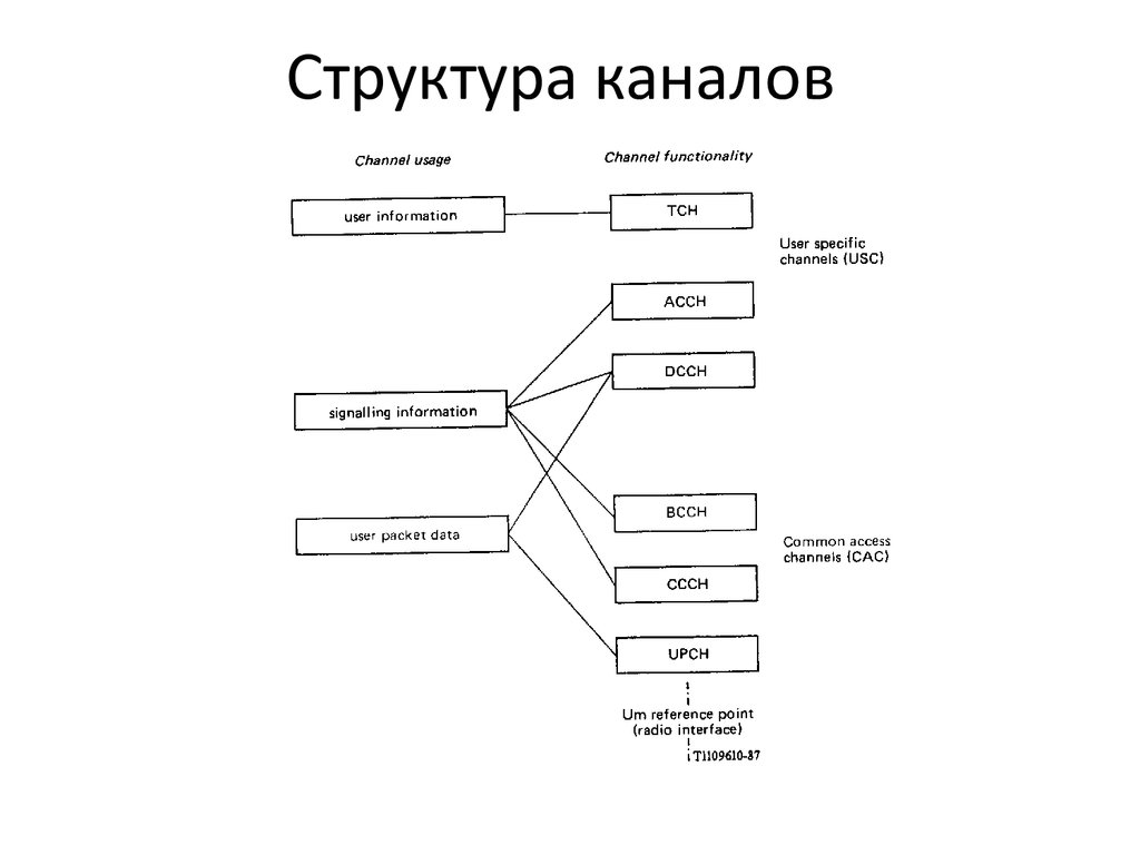 Структура каналов. Организационная структура телеканала. Организационная структура ТВ канала. Структура телевидения. Структура каналов схема.