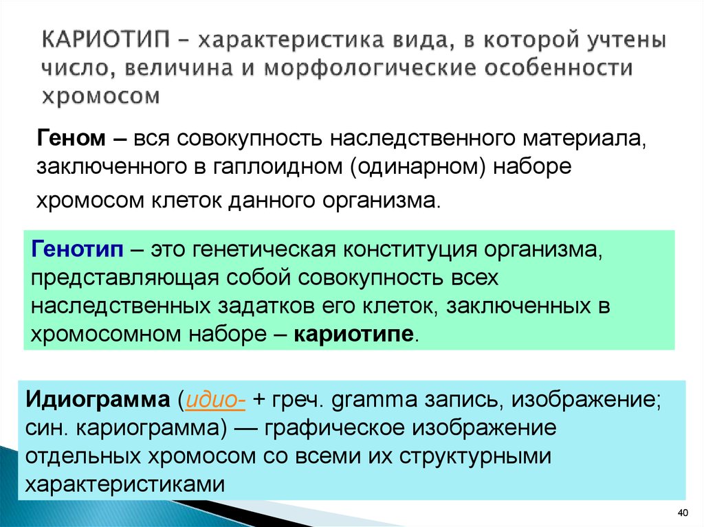 Совокупность всех генов гаплоидного набора хромосом это. Кариотип и его особенности. Характеристика кариотипа человека. Кариотип и его характеристика. Характеристика кариотипа.