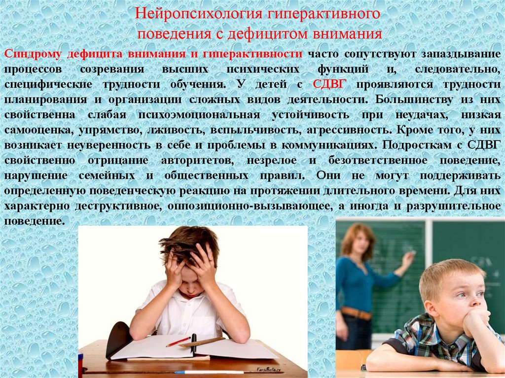 Сдвг взрослых chastnaya psihiatricheskaya klinika stacionar ru