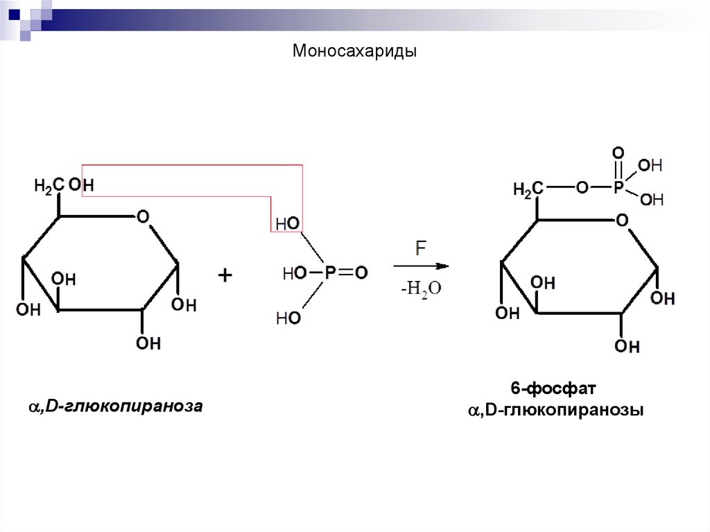 Моносахариды картинки для презентации