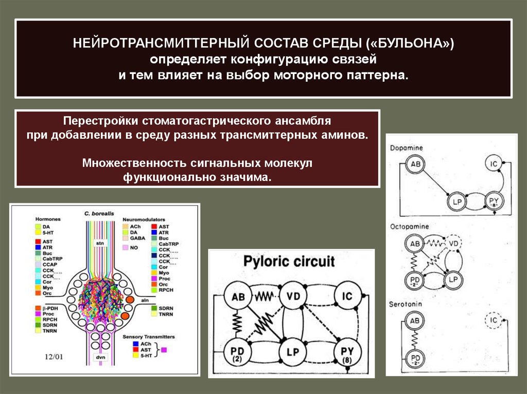 Определить конфигурацию. Множественность системы. Нейротрансмиттерный это. Конфигурация связей. Конфигурация среды это.