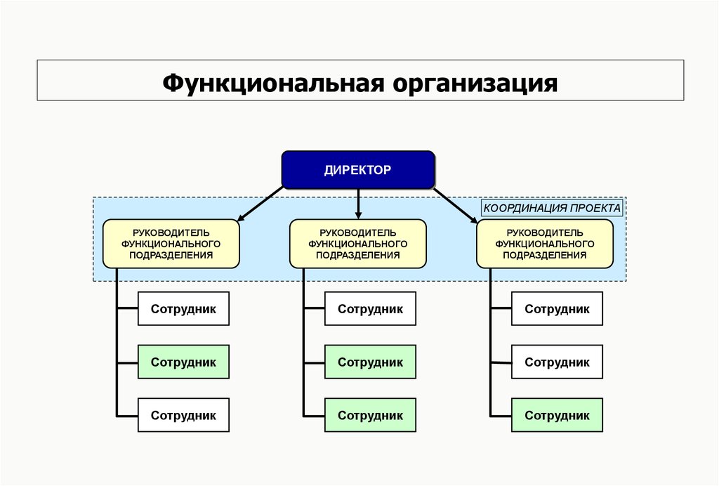 Организации в целом ее подразделений. Функциональная организационная структура схема. Функциональная организационная структура управления схема. Функциональная структура управления схема. Функциональная система организации.