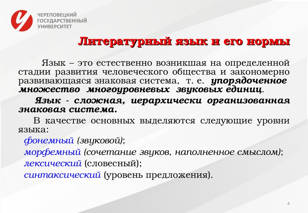 Культура речи нормы литературного языка. Литературный язык и его нормы. Язык и речь литературный язык и норма. Литературный язык знаковая система. Литературный язык – ..........................культура.