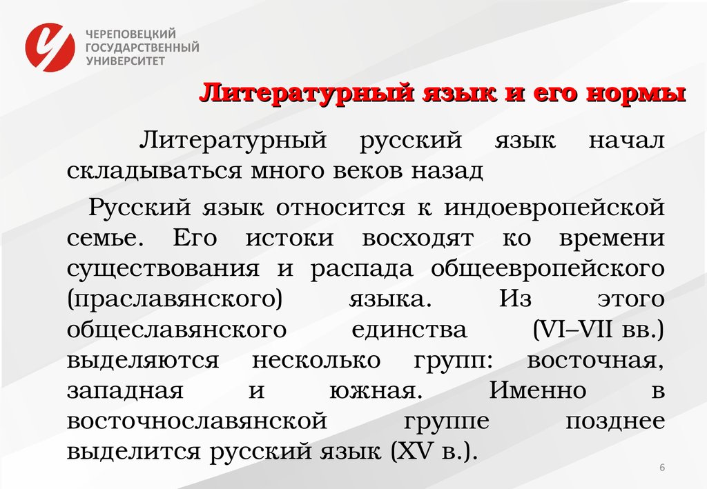 Национальная литературная норма языка. Литературный язык и его нормы. Русский литературный язык и его нормы. Общеевропейский язык. Из чего складывается литературный язык.