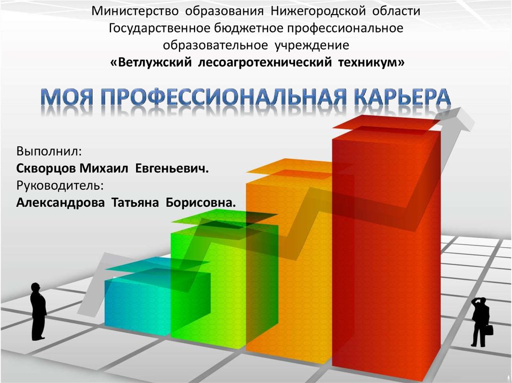 Моя профессиональная карьера проект