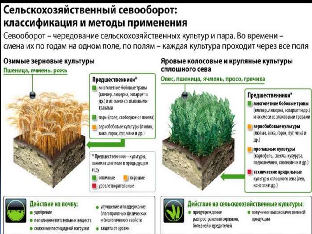 Методы использования почвы. Схема севооборота. Севооборот зерновых культур. Севооборот злаковых культур. Размещение посевов в севообороте.