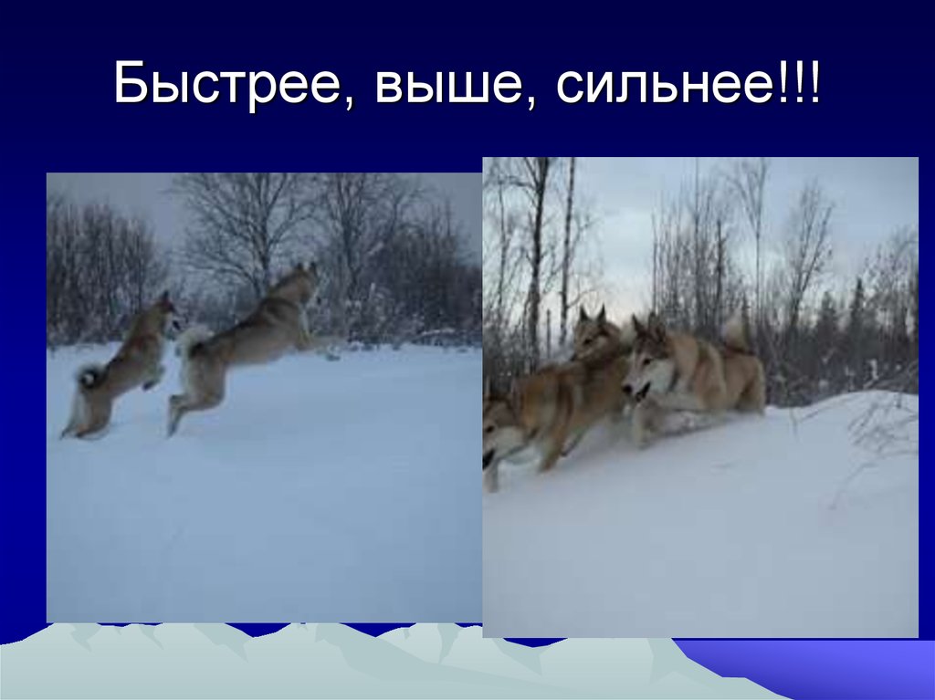 Быстрее, выше, сильнее!!!