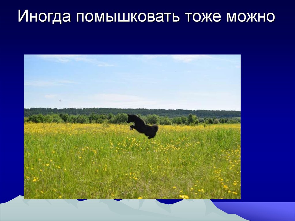 Иногда помышковать тоже можно