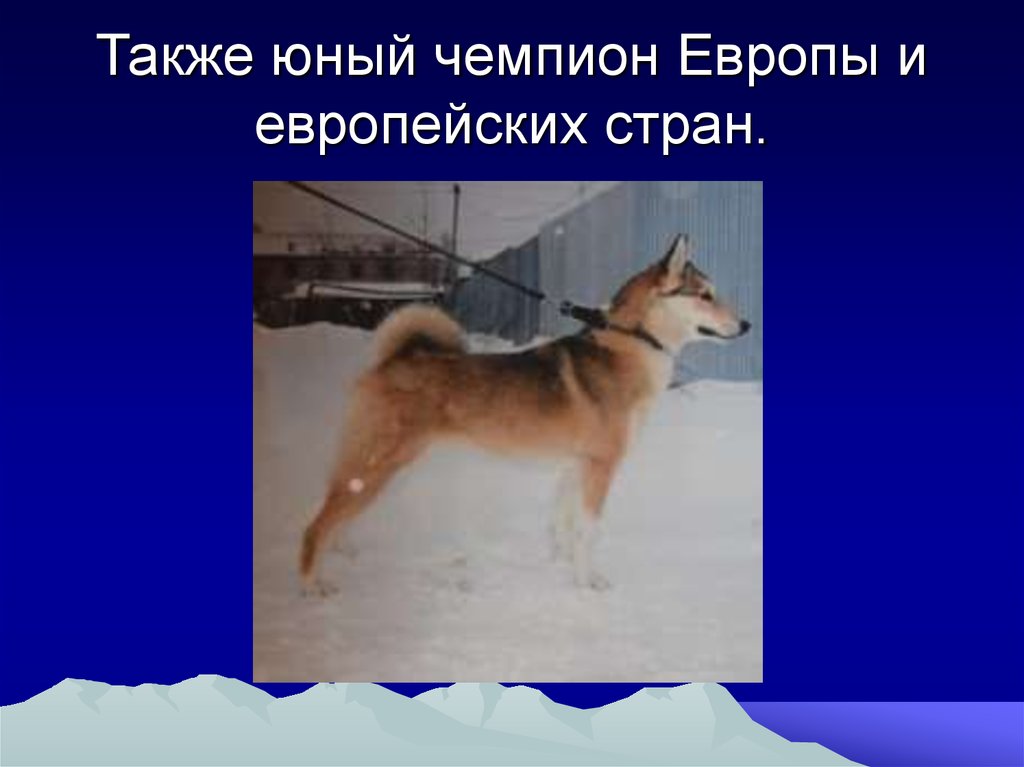 Также юный чемпион Европы и европейских стран.