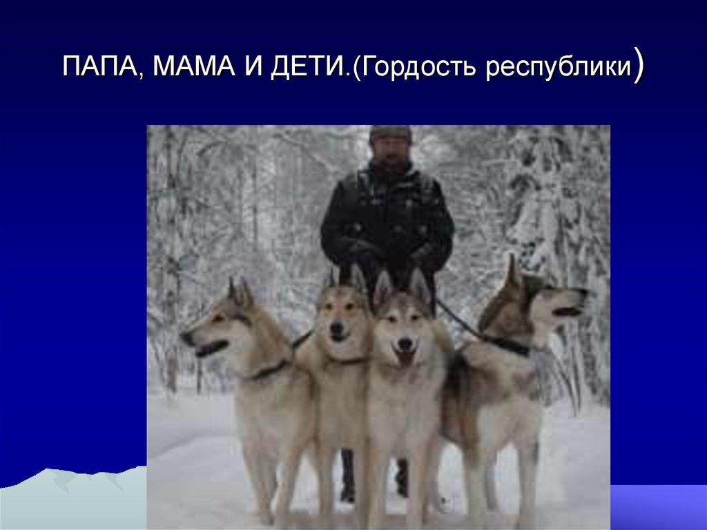 ПАПА, МАМА И ДЕТИ.(Гордость республики)