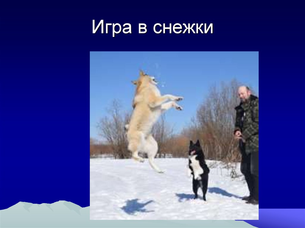 Игра в снежки