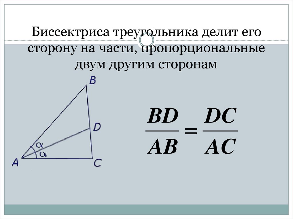 Любая биссектриса треугольника делит его пополам. Формула биссектрисы прямоугольного треугольника. 2. Свойство биссектрисы треугольника. Биссектриса труегольник. Биссектриса треугольника делит.