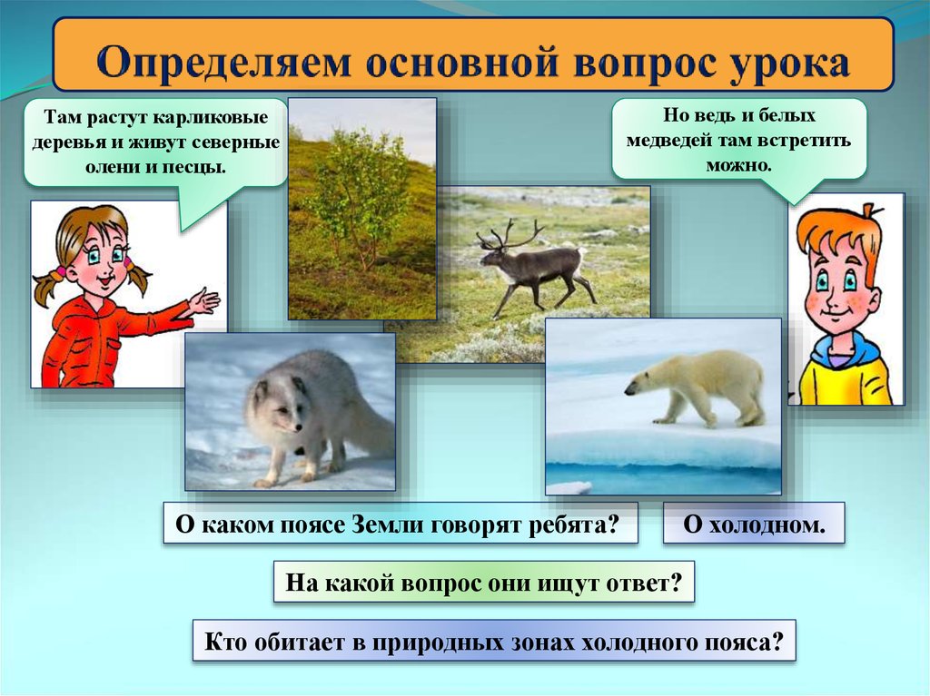 Выберите самую холодную природную зону. Природные зоны и кто там обитает. Природные зоны России и кто там обитает. Кто обитает в природных зонах. Природные зоны холодного пояса.