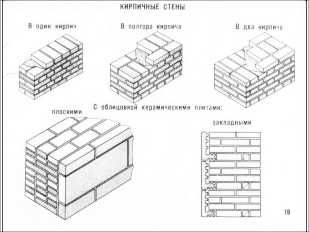 Перегородка 1 4 кирпича толщина. Толщина кирпичной стены в 2 кирпича. Кирпичная кладка в 2 кирпича толщина. Перегородка в 1/2 кирпича толщина. Толщина кирпичной перегородки в 1/2 кирпича.