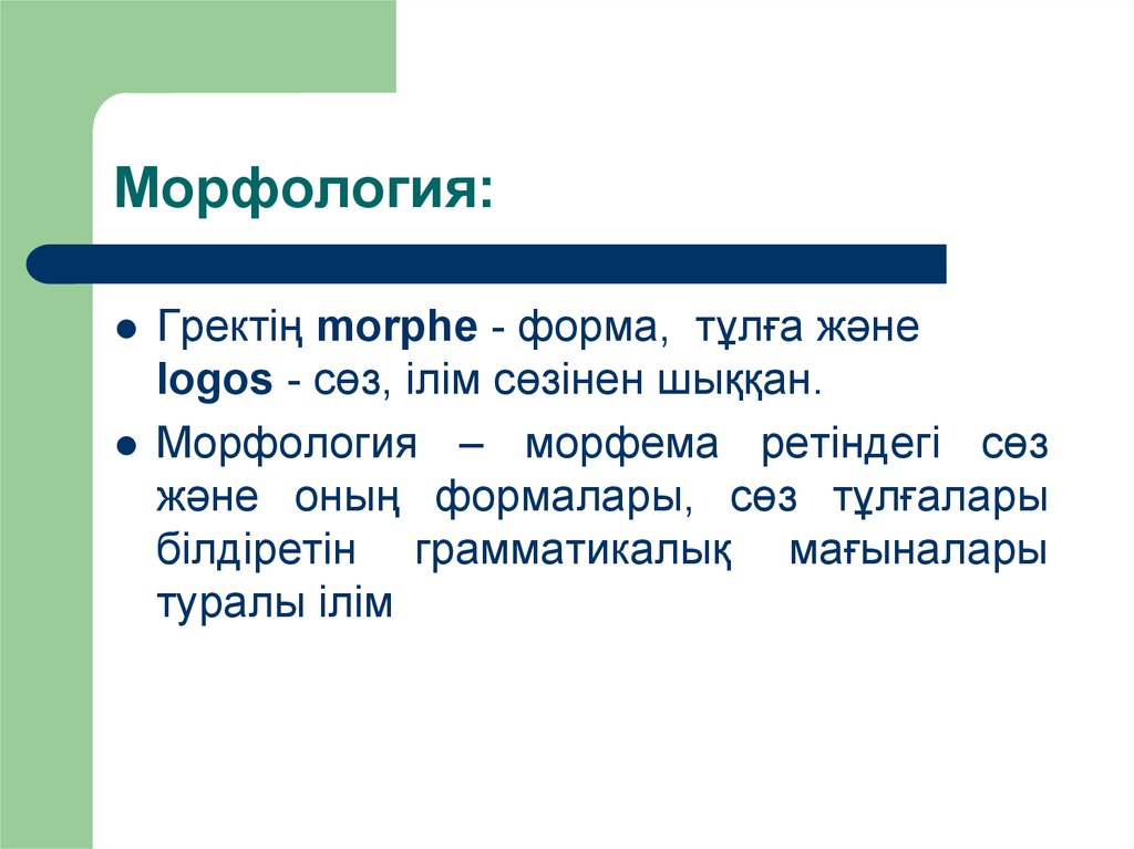 Проект по морфологии