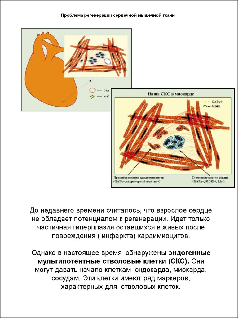 download algorithms part 1 electronic