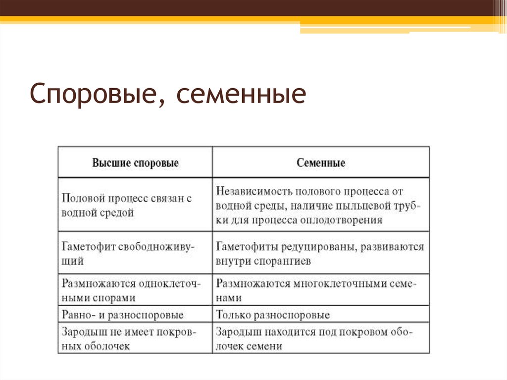 Отличие споровых растений. Высшие растения споровые и семенные таблица. Отличия споровых и семенных растений таблица. Отличие споровых и семенных. Отличия споровых и семенных растений.