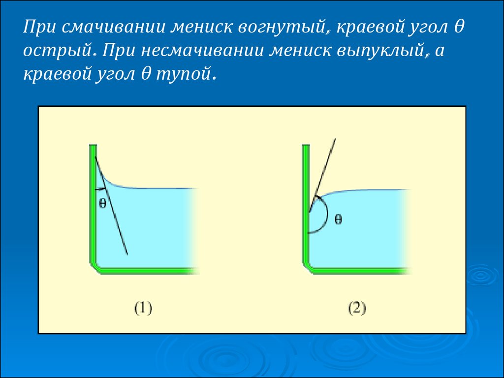 Смачивание и несмачивание физика 10 класс презентация